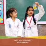 salt water density experiment conducted by grade 1