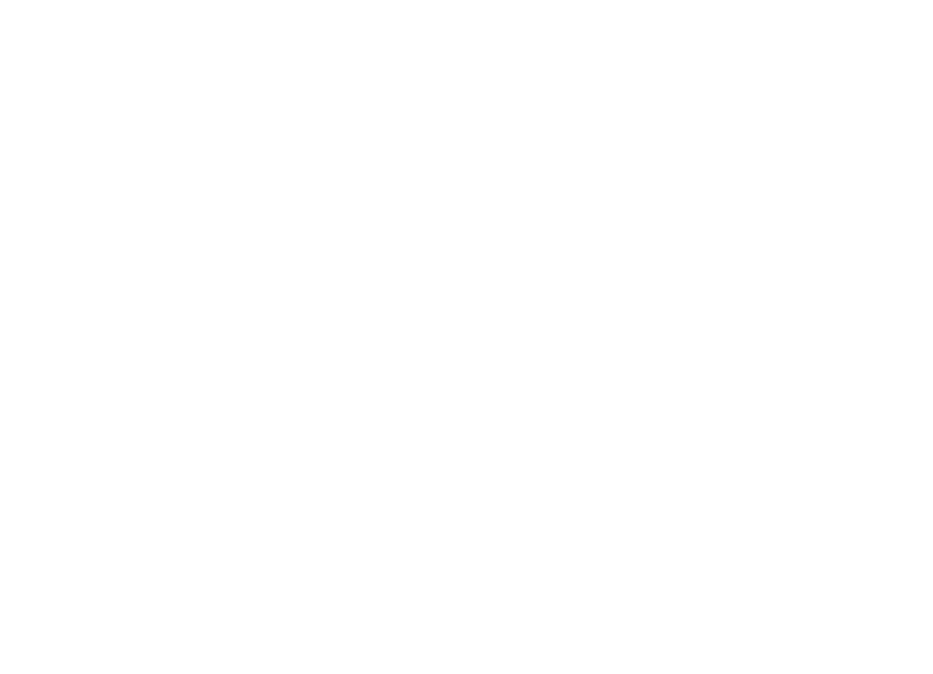 Vector