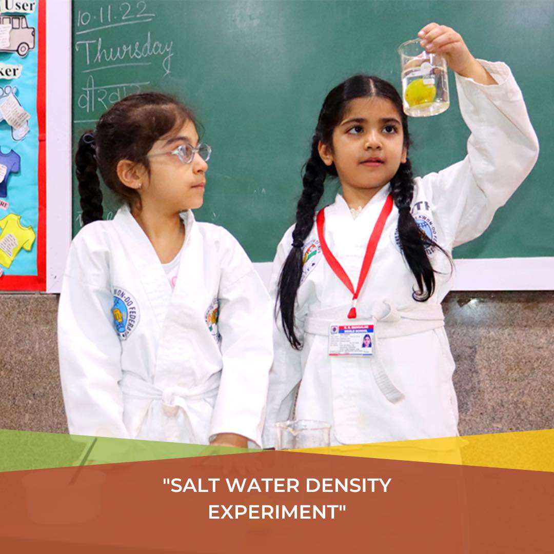 Salt Water Density Experiment conducted by Grade 1